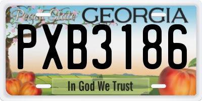 GA license plate PXB3186