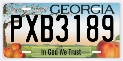 GA license plate PXB3189