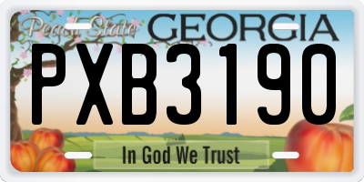 GA license plate PXB3190