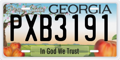 GA license plate PXB3191