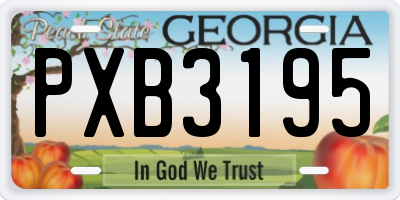 GA license plate PXB3195