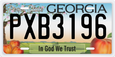 GA license plate PXB3196