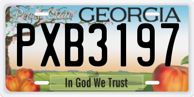 GA license plate PXB3197