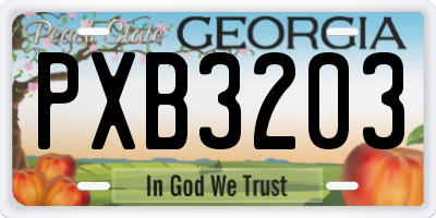 GA license plate PXB3203