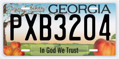 GA license plate PXB3204