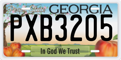 GA license plate PXB3205
