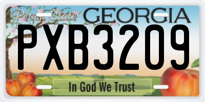 GA license plate PXB3209