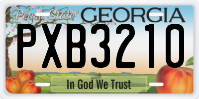 GA license plate PXB3210