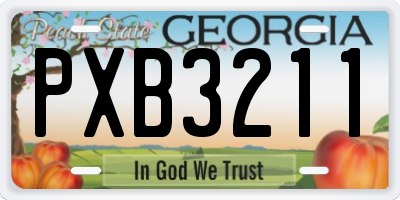 GA license plate PXB3211