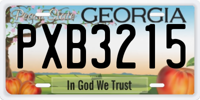 GA license plate PXB3215