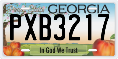 GA license plate PXB3217