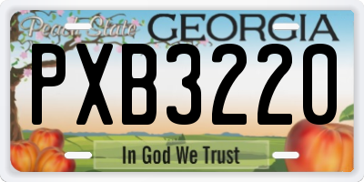 GA license plate PXB3220