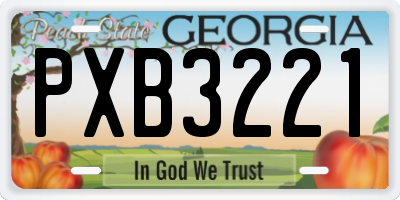 GA license plate PXB3221