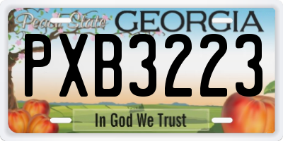 GA license plate PXB3223