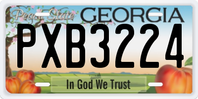 GA license plate PXB3224