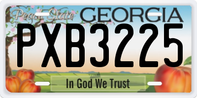 GA license plate PXB3225