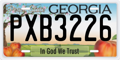 GA license plate PXB3226