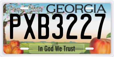 GA license plate PXB3227
