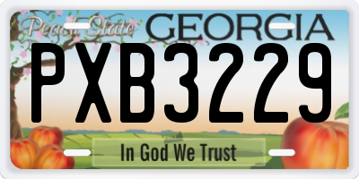 GA license plate PXB3229