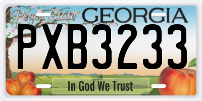 GA license plate PXB3233