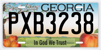 GA license plate PXB3238