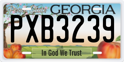 GA license plate PXB3239