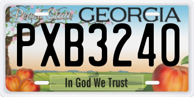 GA license plate PXB3240