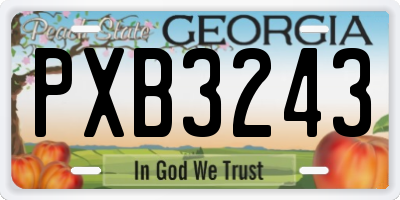GA license plate PXB3243