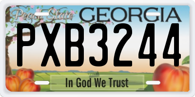 GA license plate PXB3244