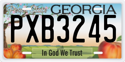 GA license plate PXB3245