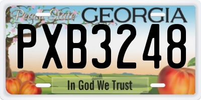 GA license plate PXB3248