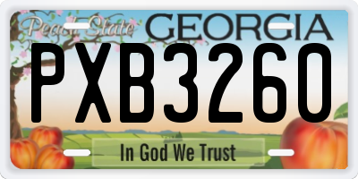 GA license plate PXB3260
