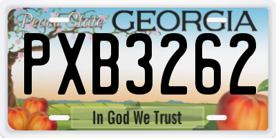 GA license plate PXB3262