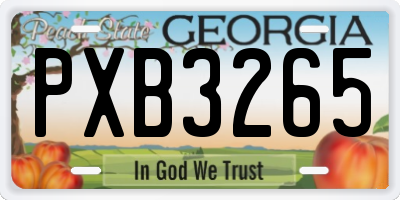 GA license plate PXB3265