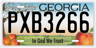 GA license plate PXB3266