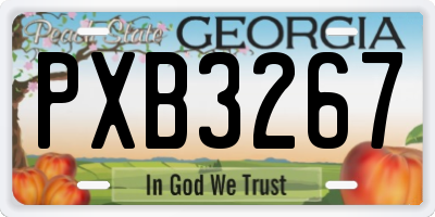 GA license plate PXB3267