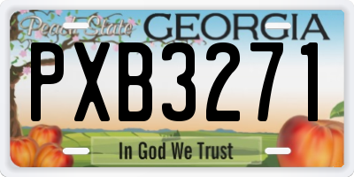 GA license plate PXB3271