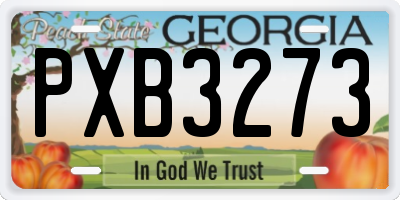 GA license plate PXB3273