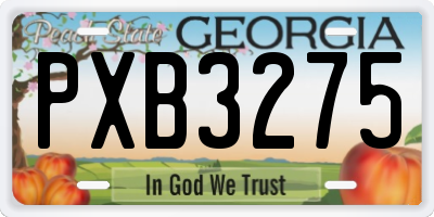 GA license plate PXB3275