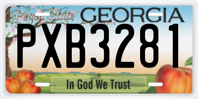 GA license plate PXB3281