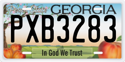 GA license plate PXB3283
