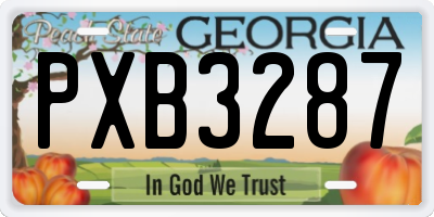 GA license plate PXB3287