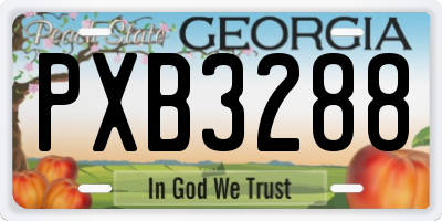 GA license plate PXB3288