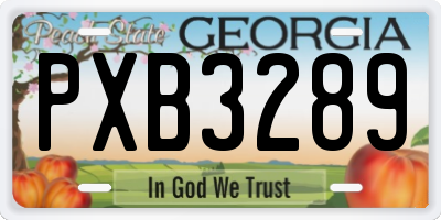 GA license plate PXB3289