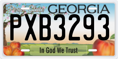 GA license plate PXB3293