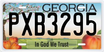 GA license plate PXB3295
