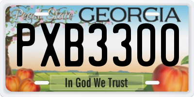 GA license plate PXB3300
