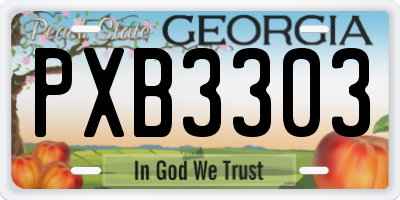 GA license plate PXB3303