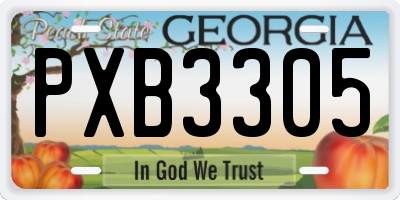 GA license plate PXB3305