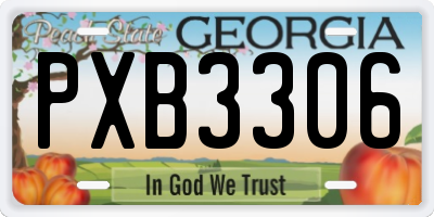 GA license plate PXB3306